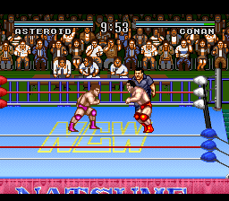 Natsume Championship Wrestling (USA) In game screenshot